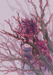 Rule 34 | 1boy, branch, covered face, fengxi (the legend of luoxiaohei), flower, long hair, long sleeves, pointy ears, purple flower, purple hair, purple theme, rkp, solo, luo xiaohei zhanji, upper body