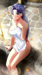 Rule 34 | 1girl, autumn leaves, black bow, blue hair, blush, bow, braid, braided ponytail, breasts, closed mouth, collarbone, covering privates, doukyuusei 2, doukyuusei another world, game cg, hair bow, hair intakes, large breasts, leaf, long hair, maple leaf, naked towel, narusawa misako, nude cover, official art, onsen, outdoors, single braid, sitting, smile, soaking feet, solo, towel, very long hair, yellow eyes