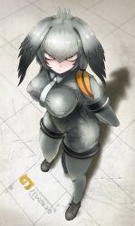 Rule 34 | 10s, 1girl, alternate breast size, belt, between breasts, bird tail, bird wings, black gloves, black hair, bodystocking, breast pocket, breasts, canvassolaris, character name, collared shirt, feathered wings, fingerless gloves, from below, full body, gloves, grey hair, grey necktie, grey pantyhose, grey shirt, grey shorts, hair between eyes, head wings, highres, japari symbol, kemono friends, large breasts, layered sleeves, long hair, long sleeves, looking at viewer, low ponytail, multicolored hair, necktie, necktie between breasts, orange hair, pantyhose, pocket, shirt, shoebill (kemono friends), short over long sleeves, short sleeves, shorts, side ponytail, solo, standing, staring, tail, tsurime, white necktie, wings, yellow eyes