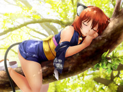 Rule 34 | 1girl, animal ears, bare shoulders, bell, cat ears, cat girl, cat tail, collar, day, detached sleeves, closed eyes, floral print, from side, game cg, highres, hunie (series), huniepop, in tree, japanese clothes, jingle bell, kimono, leaf, lying, momo (huniepop), nature, neck bell, ninamo, non-web source, obi, on stomach, open mouth, outdoors, red hair, sandals, sash, short hair, short kimono, sleeping, sleeveless, sleeveless kimono, socks, solo, straddling, tail, tree, yellow eyes