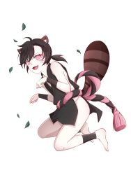 Rule 34 | 1boy, animal ears, black hair, blush, clothing request, food fantasy, full body, looking at viewer, marking on cheek, official art, pale skin, pink eyes, raccoon boy, raccoon ears, raccoon tail, second-party source, solo, tail, tanuki (food fantasy), transparent background