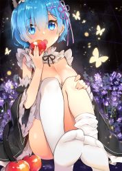 Rule 34 | 10s, 1girl, animal ears, apple, ayami (annahibi), blue eyes, blue hair, blush, breasts, bug, butterfly, cat ears, cleavage, detached sleeves, eyes visible through hair, fang, feet, flower, food, frilled sleeves, frills, fruit, hair ornament, hair over one eye, hand on own knee, holding, holding food, holding fruit, insect, large breasts, legs together, looking at viewer, maid, matching hair/eyes, md5 mismatch, no shoes, open mouth, purple flower, re:zero kara hajimeru isekai seikatsu, rem (re:zero), resolution mismatch, short hair, sitting, soles, solo, source smaller, thighhighs, white thighhighs, wide sleeves, x hair ornament