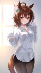 Rule 34 | 1girl, absurdres, agnes tachyon (umamusume), ahoge, animal ears, black pantyhose, blurry, blurry background, borrowed clothes, breasts, brown hair, collared shirt, depth of field, dress shirt, etesumsom, hair between eyes, hands up, highres, horse ears, horse girl, horse tail, long sleeves, looking at viewer, medium breasts, pantyhose, parted lips, red eyes, shirt, sleeves past fingers, sleeves past wrists, smile, solo, tail, thighband pantyhose, umamusume, white shirt, window