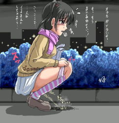 Rule 34 | 1girl, aliasing, bag, black hair, blush, breasts, breath, brown eyes, brown footwear, brown sweater, building, bush, city, embarrassed, flying sweatdrops, from side, full body, holding, homare (suzu no oka), kneehighs, loafers, long hair, long sleeves, medium breasts, night, open mouth, outdoors, panties, panty pull, peeing, pink panties, pink scarf, pink socks, puddle, pulled by self, scarf, shoes, skirt, sky, skyline, skyscraper, socks, solo, squatting, steam, striped clothes, striped socks, sweater, tears, translated, trembling, twintails, underwear, white skirt