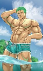 Rule 34 | 1boy, abs, absurdres, aqua male swimwear, aqua swim trunks, arm behind head, armpit hair, artist name, bara, closed mouth, cloud, cowboy shot, day, drawstring, earrings, green hair, hand under clothes, highres, jewelry, large pectorals, male focus, male swimwear, muscular, muscular male, navel, neppikun, nipples, one eye closed, one piece, outdoors, partially submerged, pectorals, roronoa zoro, scar, scar across eye, scar on chest, scar on face, short hair, sky, smile, solo, swim trunks, swimsuit, water