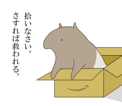 Rule 34 | amazon (company), animal ears, animal focus, box, cardboard box, commentary request, in box, in container, monochrome, no humans, original, simple background, tapir, tapir ears, translation request, white background, ykrdrd