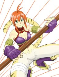 Rule 34 | 1girl, animal ears, blush, breasts, breath of fire, breath of fire ii, bustier, capcom, cat ears, cat tail, claws, cleavage, facial mark, full body, furry, furry female, gloves, green eyes, hakuyou-choun, highres, large breasts, no panties, no pants, orange hair, pointy ears, red hair, rinpoo chuan, sharp toenails, short hair, solo, staff, striped, tail, toenails