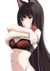 Rule 34 | 1girl, akagi (azur lane), animal ears, azur lane, bare shoulders, bra, breasts, brown hair, cleavage, closed mouth, expressionless, fox ears, groin, highres, lace, lace-trimmed bra, lace trim, large breasts, lingerie, long hair, looking at viewer, navel, red bra, red eyes, schreibe shura, shirt, simple background, sleeveless, sleeveless shirt, solo, underwear, undressing, upper body, very long hair, white background, white shirt