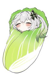 Rule 34 | 1girl, blush, cabbage swaddle, closed eyes, closed mouth, food, genshin impact, gradient hair, green hair, grey hair, hair between eyes, hair ornament, highres, hirarinoie, long hair, multicolored hair, nahida (genshin impact), napa cabbage, pointy ears, simple background, solo, vegetable, white background