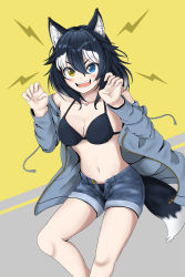 Rule 34 | 1girl, animal ears, bad id, bad pixiv id, bikini, bikini under clothes, black bikini, black hair, blue eyes, blush, breasts, cleavage, collarbone, commentary, commentary request, grey background, grey wolf (kemono friends), hair between eyes, heterochromia, highres, kemono friends, large breasts, looking at viewer, maindo (mindrmindr), multicolored hair, navel, open mouth, shorts, simple background, solo, stomach, swimsuit, tail, two-tone hair, v-shaped eyebrows, white hair, wolf ears, wolf girl, wolf tail, yellow background, yellow eyes