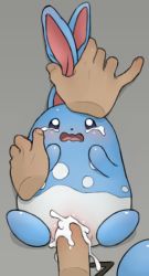 Rule 34 | 1girl, animal ears, azumarill, blue sclera, blush, colored sclera, creatures (company), cum, cum in pussy, disembodied hand, ejaculation, erection, from above, game freak, gen 2 pokemon, grey background, hetero, highres, looking up, lying, monster, nintendo, on back, open mouth, orgasm, penis, pokemon, pokemon (creature), pov, pussy, rape, restrained, sex, simple background, spread legs, tail, tears, vaginal, white eyes, youjo modoki
