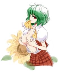 Rule 34 | 1girl, ascot, breast hold, breasts, breasts out, covering privates, covering breasts, female focus, flower, green hair, hanisa, kazami yuuka, medium breasts, mouth hold, no bra, one eye closed, open clothes, open shirt, plaid, plaid skirt, plaid vest, red eyes, shirt, short hair, short sleeves, simple background, skirt, skirt set, smile, solo, sunflower, touhou, untied, vest, white background, wink