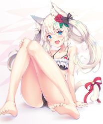 Rule 34 | 1girl, animal ear fluff, animal ears, arm support, ass, azur lane, bad feet, bare arms, bare legs, bare shoulders, barefoot, bell, bikini, black bikini, black bow, blue eyes, blush, bow, cat ears, cat girl, cat tail, collarbone, commentary request, fang, feet, fingernails, flower, hair between eyes, hair bow, hair flower, hair ornament, hair rings, hammann (azur lane), hammann (rebellious summer) (azur lane), head tilt, highres, jingle bell, legs, looking at viewer, nail polish, nakazawa aki, open mouth, pink nails, red flower, red ribbon, red rose, ribbon, rose, sidelocks, sitting, soles, solo, swimsuit, tail, tail bell, tail ornament, tail ribbon, toenail polish, toenails, twintails, white hair