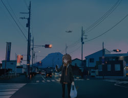 Rule 34 | 1girl, aircraft, bag, brown eyes, brown hair, cellphone, ch-53, coat, crosswalk, dusk, helicopter, highres, kantai collection, phone, road sign, scarf, sendai (kancolle), shopping bag, sign, smartphone, solo, traffic light, two side up