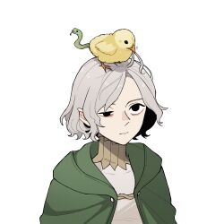 Rule 34 | 1boy, animal, animal on head, bags under eyes, bird, bird on head, black eyes, chick, cloak, dungeon meshi, elf, expressionless, green cloak, grey hair, half-closed eye, highres, looking up, male focus, mithrun, notched ear, on head, pale skin, pointy ears, portrait, shirt, short hair, simple background, snake head tail, solo, somu ki, tail, uneven eyes, white background, white shirt