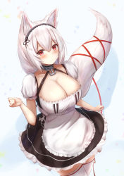 Rule 34 | 1girl, amano kusatsu, animal ear fluff, animal ears, apron, arm up, azur lane, blush, breasts, choker, closed mouth, dress, fox, fox ears, fox girl, fox tail, frills, gradient background, hair between eyes, hairband, highres, huge breasts, lace-trimmed hairband, lace trim, looking at viewer, maid, maid apron, maid headdress, puffy sleeves, red eyes, red ribbon, ribbon, short hair, short sleeves, sirius (azur lane), solo, tail, thighhighs, two-tone dress, white hair, white thighhighs