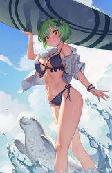 1girl absurdres ahoge arm_up bare_legs bikini black_bikini blue_sky blush bracelet breasts chinese_commentary cleavage closed_mouth cloud cloudy_sky commentary_request frilled_bikini_top green_hair hair_ornament halterneck highres holding holding_surfboard jewelry kenkou_zenrakei_suieibu_umishou large_breasts looking_at_viewer navel ninagawa_amuro object_on_head outdoors red_eyes seal_(animal) shirt short_hair sky solo string_bikini surfboard swimsuit white_shirt x_hair_ornament xzu