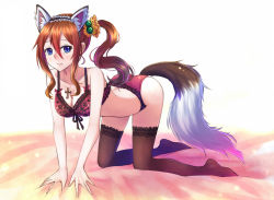 Rule 34 | 1girl, all fours, animal ears, black thighhighs, blue eyes, blush, bra, breasts, brown hair, cleavage, cross, fox ears, fox tail, front-tie top, hair bobbles, hair ornament, jewelry, lace, lace-trimmed bra, lace-trimmed legwear, lace-trimmed panties, lace trim, large breasts, long hair, necklace, original, panties, red bra, red panties, side ponytail, solo, suikakitsu shiro, tail, thighhighs, underwear, underwear only, xia you qing
