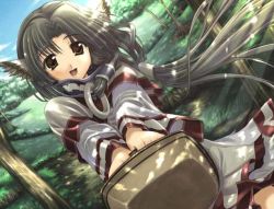 Rule 34 | 00s, 1girl, amazuyu tatsuki, animal ears, basket, brown eyes, brown hair, dappled sunlight, day, dog ears, dutch angle, eruruu, field, floating hair, forest, game cg, holding, japanese clothes, jpeg artifacts, layered sleeves, leaf (studio), looking at viewer, nature, open mouth, sky, solo, sunlight, traditional clothes, tree, utawarerumono