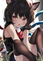 Rule 34 | 1girl, :o, animal ears, asymmetrical wings, bad id, bad twitter id, bare shoulders, black dress, black hair, black thighhighs, blue wings, blush, bow, bowtie, cat ears, commentary request, dress, fang, feet out of frame, hair between eyes, highres, houjuu nue, kemonomimi mode, knees up, looking at viewer, petals, red bow, red bowtie, red eyes, red wings, satoupote, short hair, sitting, sleeveless, sleeveless dress, solo, thighhighs, thighs, touhou, wings