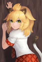 Rule 34 | 10s, animal ears, bad id, bad pixiv id, blonde hair, fur collar, highres, kemono friends, lion (kemono friends), lion ears, lion tail, long hair, necktie, qi&#039;e (penguin), scratching, skirt, solo, tail, yellow eyes