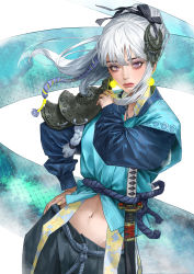 Rule 34 | 1girl, absurdres, armor, blue sleeves, braid, closed mouth, commentary request, cowboy shot, fingernails, hair between eyes, hair ornament, hand on own hip, heo sung-moo, highres, katana, lips, long hair, long sleeves, looking at viewer, midriff, navel, original, pink eyes, puffy long sleeves, puffy sleeves, rope, sash, scales, shoulder armor, snake, solo, sword, tunic, weapon, white hair