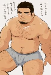Rule 34 | 1boy, arm hair, bara, belly, black hair, boxer briefs, bulge, chest hair, facial hair, fat, fat man, feet out of frame, goatee, grey male underwear, hairy, leg hair, looking at viewer, male focus, male underwear, muscular, muscular male, navel, navel hair, nipples, original, pectorals, short hair, solo, spread legs, stomach, stubble, suv (suv032), thick eyebrows, thick thighs, thighs, translation request, underwear, underwear only