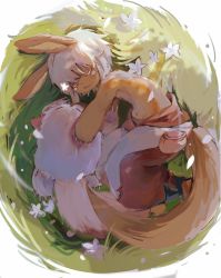 Rule 34 | 1other, :3, androgynous, animal ears, blunt bangs, body fur, brown fur, closed eyes, colored eyelashes, creature, flower, from above, full body, furry, grass, han shanye li, highres, holding, holding creature, lying, made in abyss, mitty (made in abyss), nanachi (made in abyss), on grass, on side, outdoors, pants, pouch, rabbit ears, red pants, short hair, sleeping, solo, tail, whiskers, white flower, white hair