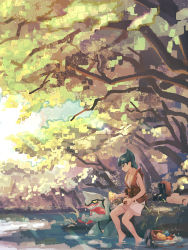 Rule 34 | 1girl, bare arms, barefoot, basket, berry (pokemon), blue hair, blunt bangs, brown vest, coin (pokemon), commentary request, creatures (company), day, game freak, gen 4 pokemon, holding, nintendo, outdoors, pokemon, pokemon (creature), pokemon legends: arceus, sarashi, shorts, sitrus berry, sitting, soaking feet, tomafuji (mmk tomato), toxicroak, tree, vest, water, white shorts