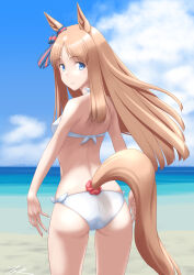 Rule 34 | 1girl, animal ears, ass, back, beach, bikini, blue eyes, blue sky, bow, breasts, brown hair, cloud, cowboy shot, day, ear ribbon, from behind, grass wonder (umamusume), highres, horse ears, horse girl, horse tail, long hair, looking at viewer, looking back, ocean, outdoors, sky, small breasts, smile, solo, standing, swimsuit, t2r, tail, umamusume, white bikini