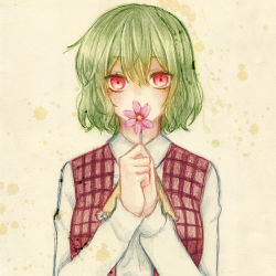 Rule 34 | 1girl, ascot, collared shirt, covering own mouth, flower, green hair, hi osamu, holding, holding flower, kazami yuuka, long sleeves, looking at viewer, plaid, plaid vest, red eyes, shirt, simple background, solo, touhou, upper body, vest, yurusawa