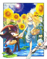 Rule 34 | 1boy, 1girl, :d, ^ ^, blonde hair, blue dress, blue eyes, blue sky, blush, chao (sonic), closed eyes, cloud, dress, closed eyes, flower, food, fruit, furry, furry male, gloves, holding hands, highres, long hair, maria robotnik, open mouth, red eyes, shadow the hedgehog, sky, sleeveless, sleeveless dress, smile, sonic (series), sun, sunflower, tondamanuke, wading, water, white gloves