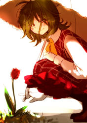 Rule 34 | 1girl, ascot, blush, closed mouth, commentary request, flower, gloves, green hair, hand on own leg, highres, holding, holding umbrella, kazami yuuka, long sleeves, looking at flowers, medium hair, parasol, plaid, plaid skirt, plaid vest, plant, red flower, red tulip, red vest, shoes, sitting, skirt, skirt set, smile, solo, touhou, tulip, umbrella, vest, white background, yellow ascot, yonu (yonurime)