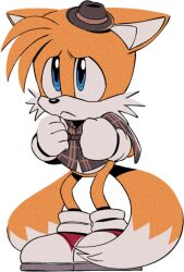 Rule 34 | 1boy, :&lt;, animal ears, animal nose, blue eyes, body fur, brown capelet, brown hat, capelet, child, clenched hands, closed mouth, digimin, fedora, fox boy, fox ears, fox tail, full body, furrowed brow, furry, furry male, gloves, hand up, hat, male focus, mini hat, multiple tails, non-web source, official art, plaid capelet, red footwear, shoes, simple background, socks, solo, sonic (series), standing, tail, tails (sonic), the murder of sonic the hedgehog, transparent background, two-tone fur, two tails, white fur, white gloves, white socks, yellow fur