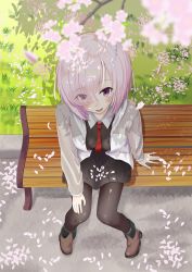 Rule 34 | 1girl, bench, black dress, black pantyhose, boots, chaldea uniform, cherry blossoms, dress, eyes visible through hair, fate/grand order, fate (series), from above, hair over one eye, highres, mash kyrielight, necktie, pantyhose, petals, pink hair, purple eyes, short hair, zuki