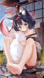 Rule 34 | 1girl, animal ear fluff, animal ears, artist request, bare shoulders, barefoot, bell, benghuai xueyuan, between legs, black hair, blue sky, blurry, blurry foreground, blush, closed mouth, cloud, collarbone, commentary request, day, depth of field, flower, fox ears, fox girl, fox tail, green eyes, highres, honkai (series), jingle bell, long hair, looking at viewer, off shoulder, official art, outdoors, pleated skirt, rain, red skirt, shion (benghuai xueyuan), skirt, sky, soles, solo, tail, tail between legs, tail grab, very long hair, wet, yellow flower