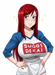 Rule 34 | 1girl, black eyes, breasts, erza scarlet, eyebrows, fairy tail, hair between eyes, hand on own hip, large breasts, long hair, looking at viewer, meme attire, no pants, red hair, simple background, smile, smug, solo, sparkle, sugoi dekai, twrlare, upper body, white background
