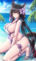 Rule 34 | 1girl, absurdres, animal ears, bikini, black hair, blue archive, blush, brown eyes, chin gero, from side, hair ornament, highres, kneeling, looking at viewer, looking to the side, nail polish, outdoors, partially submerged, purple nails, sandals, solo, swimsuit, thighs, wakamo (blue archive), wakamo (swimsuit) (blue archive), water
