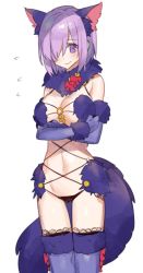 Rule 34 | 1girl, animal costume, animal ears, bad id, bad twitter id, blush, chocoan, fate/grand order, fate (series), flying sweatdrops, hair over one eye, halloween costume, mash kyrielight, mash kyrielight (dangerous beast), navel, official alternate costume, purple eyes, purple hair, short hair, solo, sweat, tail, thighhighs, wolf ears, wolf tail