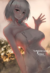 Rule 34 | 1girl, blue eyes, blush, breasts, collarbone, green eyes, grey hair, hair over shoulder, hand up, head tilt, highres, large breasts, mole, naked towel, outdoors, pandea work, smile, solo, sunset, towel, wading, warship girls r, zara (warship girls r)
