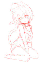 Rule 34 | 1girl, absurdres, animal ears, breasts, cat ears, cat tail, dodome-iro mayonnaise, highres, monochrome, original, sharon (dodomayo), short hair, simple background, sitting, sketch, small breasts, solo, tail, white background