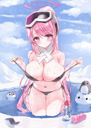 1girl absurdres animal bad_tag bare_arms bare_legs bare_shoulders bikini bird black_bikini blue_archive blush breasts cleavage closed_mouth commentary_request condom condom_wrapper cowboy_shot eimi_(blue_archive) eimi_(swimsuit)_(blue_archive) goggles goggles_on_head halo highres large_breasts long_hair looking_at_viewer navel official_alternate_costume penguin pink_eyes pink_hair pink_halo ponytail scarf smile solo swimsuit tandohark wading wet white_scarf