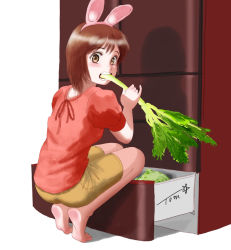 Rule 34 | 1girl, animal ears, arms up, artist name, barefoot, blush, brown eyes, brown hair, brown shorts, celery, chutohampa, commentary request, eating, fake animal ears, food, graphite (medium), holding, holding food, looking at viewer, mechanical pencil, original, pencil, rabbit ears, red shirt, refrigerator, shadow, shirt, short hair, short sleeves, shorts, solo, squatting, teeth, traditional media