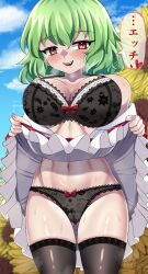 Rule 34 | 1girl, absurdres, black bra, black panties, black thighhighs, bow, bow bra, bow panties, bra, breasts, cameltoe, cloud, commentary request, doku yanagi, fangs, field, flower, flower field, frilled skirt, frills, gluteal fold, green hair, hair between eyes, heart, highres, kazami yuuka, lace, lace bra, lace panties, large breasts, lifted by self, navel, outdoors, panties, partially undressed, plaid, plaid skirt, plaid vest, print bra, print panties, red bow, red eyes, red skirt, red vest, shirt, unworn shirt, short hair, skirt, skirt set, sky, solo, speech bubble, sunflower, sunflower field, thighhighs, touhou, translation request, underwear, vest, white shirt