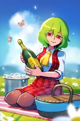 Rule 34 | 1girl, alcohol, ascot, black legwear, blue sky, bottle, breasts, bucket, bug, butterfly, cloud, collared shirt, day, grass, green hair, hair between eyes, highres, holding, holding bottle, ice, ice bucket, iganashi1, insect, kazami yuuka, looking at viewer, outdoors, picnic, picnic basket, plaid, plaid skirt, plaid vest, red eyes, seiza, shirt, short hair, sitting, skirt, sky, smile, solo, touhou, vest, white shirt, wine, wine bottle