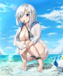Rule 34 | 1girl, ball, beachball, bikini, bikini bottom only, unworn bikini bottom, bird, black bikini, blue eyes, blue sky, blush, bottomless, breasts, cleavage, closed mouth, cloud, cloudy sky, collarbone, day, hair ornament, hair over one eye, hairclip, hamakaze (kancolle), hand on own arm, highres, holding, holding bikini bottom, holding clothes, holding swimsuit, hood, hoodie, kantai collection, large breasts, lens flare, looking at viewer, mouth hold, noeru, o-ring, o-ring bikini, ocean, outdoors, seagull, see-through, short hair, silver hair, sky, solo, squatting, string bikini, swimsuit, thick thighs, thighs, tiptoes, toes, unzipped, wading, water, wet, wet clothes, wet jacket
