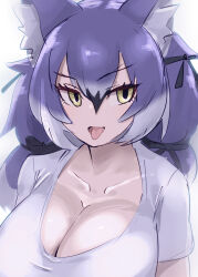 Rule 34 | 1girl, animal ear fluff, animal ears, blue hair, breasts, cleavage, dire wolf (kemono friends), extra ears, highres, kemono friends, kemono friends v project, large breasts, long hair, looking at viewer, nishuu miri, open mouth, ribbon, shirt, simple background, solo, t-shirt, tongue, twintails, virtual youtuber, wolf ears, wolf girl, yellow eyes