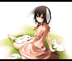 Rule 34 | 1girl, animal ears, barefoot, blush, brown hair, rabbit, rabbit ears, colorized, dress, female focus, grass, highres, inaba tewi, koshi-kun, letterboxed, pink dress, red eyes, short hair, sitting, solo, tail, touhou