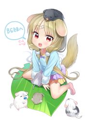 Rule 34 | 1girl, :o, animal, animal ears, animal on head, ankle socks, bandaid, bandaid on face, bandaid on forehead, blue shirt, blush, bow, brown hair, closed eyes, commentary request, dog ears, dog girl, dog tail, full body, fur-trimmed sleeves, fur trim, hanasaki mahiru, highres, layered skirt, leaf, long hair, long sleeves, looking at viewer, low twintails, mouse (animal), no shoes, on head, open mouth, original, pacifier, personification, pink socks, pleated skirt, purple bow, purple skirt, red eyes, shirt, simple background, skirt, socks, solo, tail, teeth, translation request, twintails, upper teeth only, very long hair, white background, yellow skirt