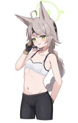 Rule 34 | 1girl, absurdres, ahoge, animal ears, black pantyhose, blue archive, blush, bra, braid, breasts, collarbone, cropped legs, earpiece, fox ears, gloves, green eyes, green halo, grey hair, halo, highres, long hair, miso (misomiso 154), navel, open mouth, otogi (blue archive), pantyhose, simple background, single braid, small breasts, smile, solo, underwear, white background, white bra